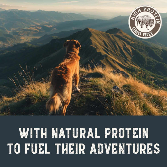 Health Extension Grain - Free Bison & Fish Jerky for Dogs - HE2A7 - 4 oz - Bison & Fish - 4