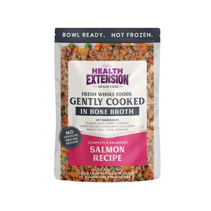 Health Extension Grain - Free Dog Food Pouches - Gently Cooked in Bone Broth - HE2AT - Salmon - 9 oz - 1 Pouch - 10