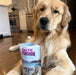 Health Extension Grain - Free Oven Baked Dog Treats, 6 oz - HE2AK - 6 oz - Salmon & Kale - 6