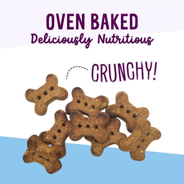 Health Extension Grain - Free Oven Baked Dog Treats, 6 oz - HE2AK - 6 oz - Salmon & Kale - 3