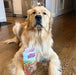 Health Extension Grain - Free Oven Baked Dog Treats, 6 oz - HE2AM - 6 oz - Vegetarian - Peanut Butter & Banana - 16
