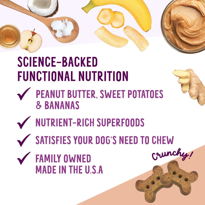 Health Extension Grain - Free Oven Baked Dog Treats, 6 oz - HE2AM - 6 oz - Vegetarian - Peanut Butter & Banana - 15