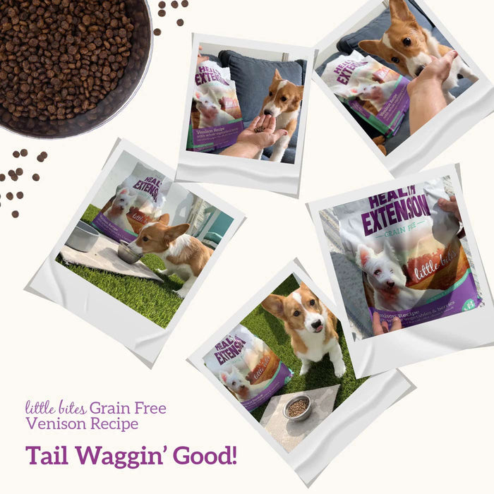 Health Extension Grain - Free Venison Little Bites Small Breed Dry Dog Food - HE2W - Venison & Sweet Potato - 3.5 lb - 8