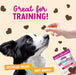 Health Extension Impawfect Bacon Recipe Training Treats for Dogs and Puppies, 4 oz - HE2AP - 4 oz - Bacon - 4