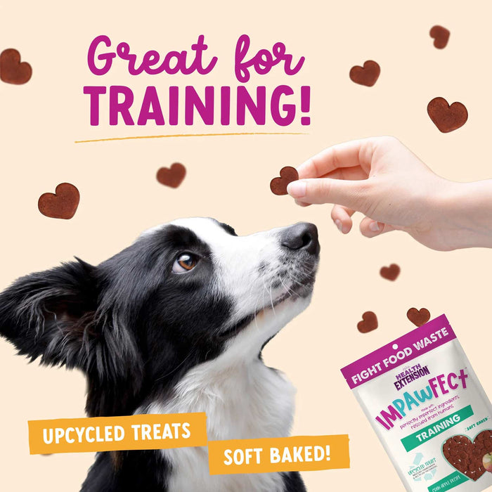Health Extension Impawfect Bacon Recipe Training Treats for Dogs and Puppies, 4 oz - HE2AQ - 4 oz - Cran - Apple - 12