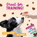 Health Extension Impawfect Bacon Recipe Training Treats for Dogs and Puppies, 4 oz - HE2AQ - 4 oz - Cran - Apple - 12