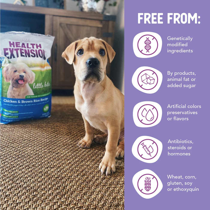 Health Extension Little Bites Chicken & Brown Rice Recipe Small Breed Dry Dog Food - HE2G - 4lb - Chicken & Brown Rice - 7