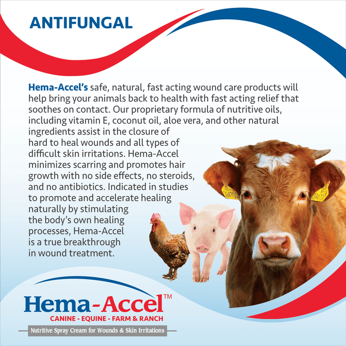 Hema - Accel Canine All Natural Wound Care Spray, 4 oz - VB1J - 4oz - 4