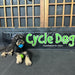 High Roller Ball Plus Rubber Dog Toy - CD2CJ - Large - Blue - 1 ct - 5