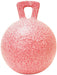 Horseman's Pride Scented Jolly Ball 10" Horse Toy – Durable, Chew - Resistant Equine Enrichment Ball for Outdoor Fun - H7S1 - Peppermint (Mint) - 9
