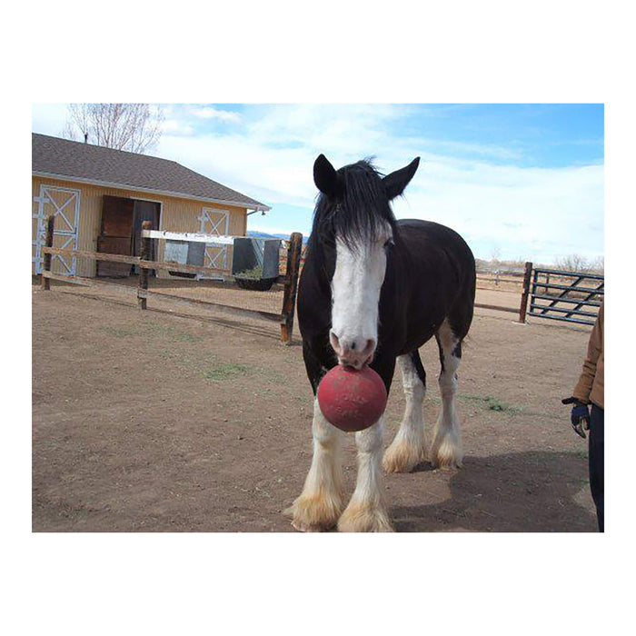 Horseman's Pride Scented Jolly Ball 10" Horse Toy – Durable, Chew - Resistant Equine Enrichment Ball for Outdoor Fun - H7WF - Pink (Bubblegum) - 14