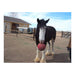 Horseman's Pride Scented Jolly Ball 10" Horse Toy – Durable, Chew - Resistant Equine Enrichment Ball for Outdoor Fun - H7WF - Pink (Bubblegum) - 14