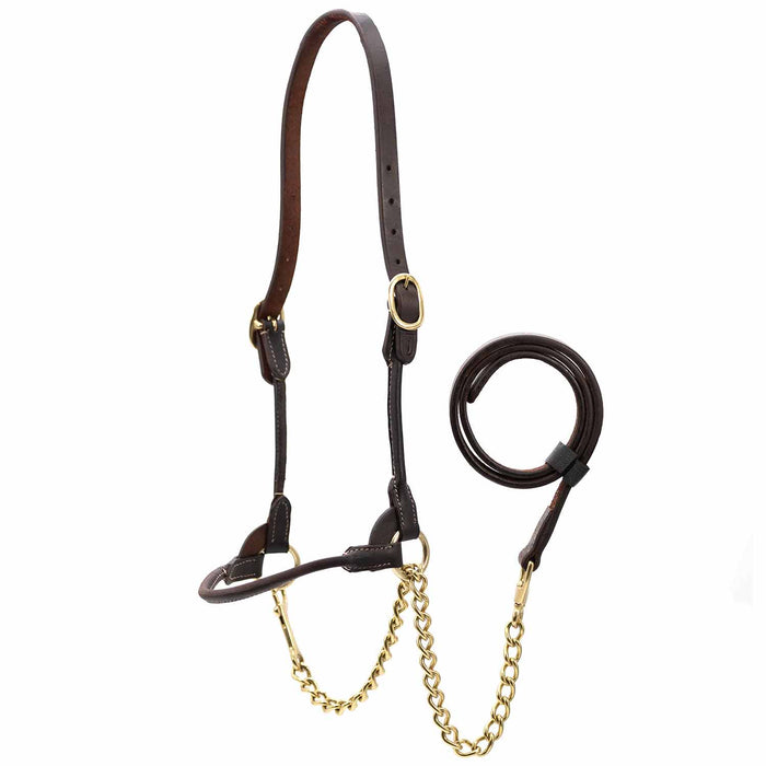 Jeffers Harness Leather Show Halter for Cattle – Includes Lead & Brass Chain