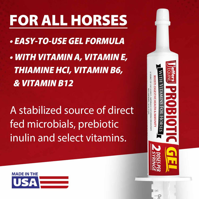 Jeffers Equine Probiotic Oral Gel for Horses with Vitamins A, B, E – Digestive Support with Prebiotics and Live Microbials – Easy-to-Feed Supplement for Foals and Adult Horses – 30 cc Syringe Size 30 cc