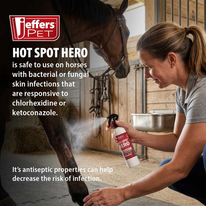 Jeffers Hot Spot Hero Antiseptic Spray, for Dogs and Cats, 8oz Size 8 ounce