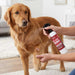 Jeffers Hot Spot Hero Antiseptic Spray, for Dogs and Cats, 8oz Size 8 ounce