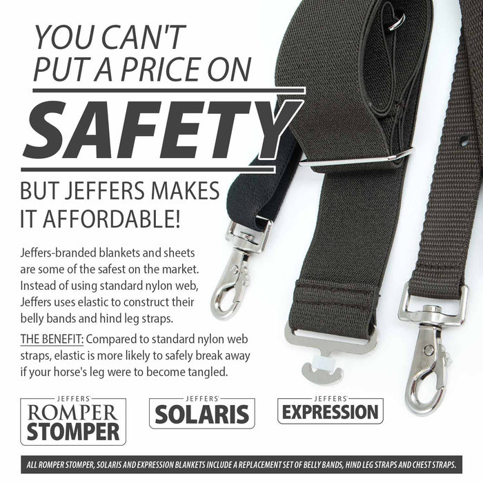 Jeffers Expression Pony 1200 Denier Standard Neck Turnout Blanket, Color Skater Cowgirl pattern