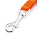 Jeffers 1 - Ply Web Nylon Dog Leashes - SSGF - 5/8"W x 4'L - Black - 14