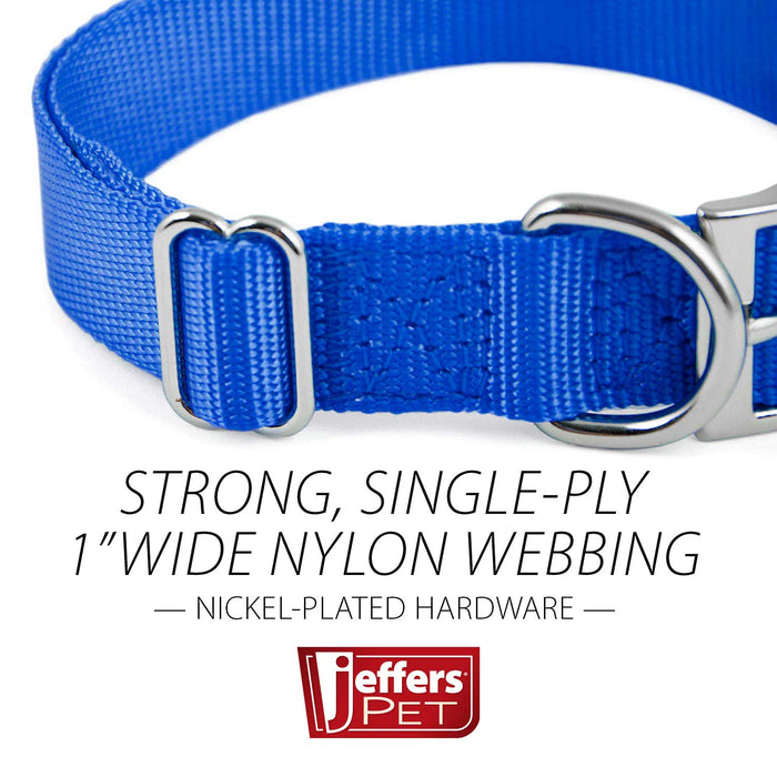Jeffers Adjustable Nylon Dog Collar, 1"W x 14" - 24"L - SSG5 - Royal Blue - 11
