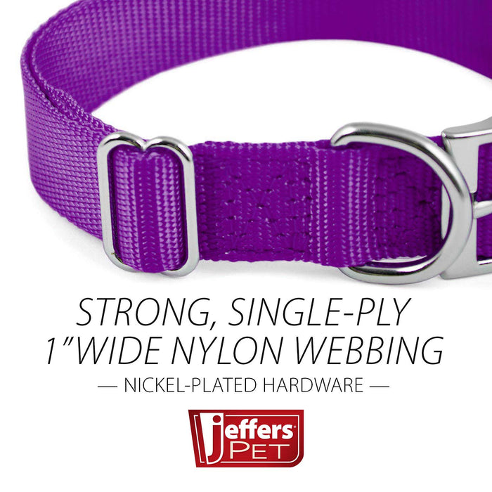 Jeffers Adjustable Nylon Dog Collar, 1"W x 14" - 24"L - SSG6 - Purple - 14