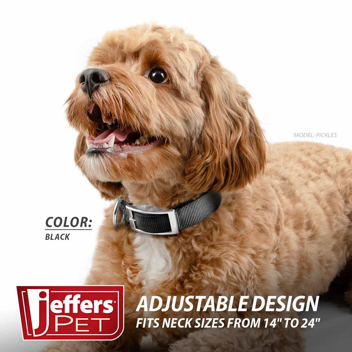 Jeffers Adjustable Nylon Dog Collar, 1"W x 14" - 24"L - SSG7 - Black - 7