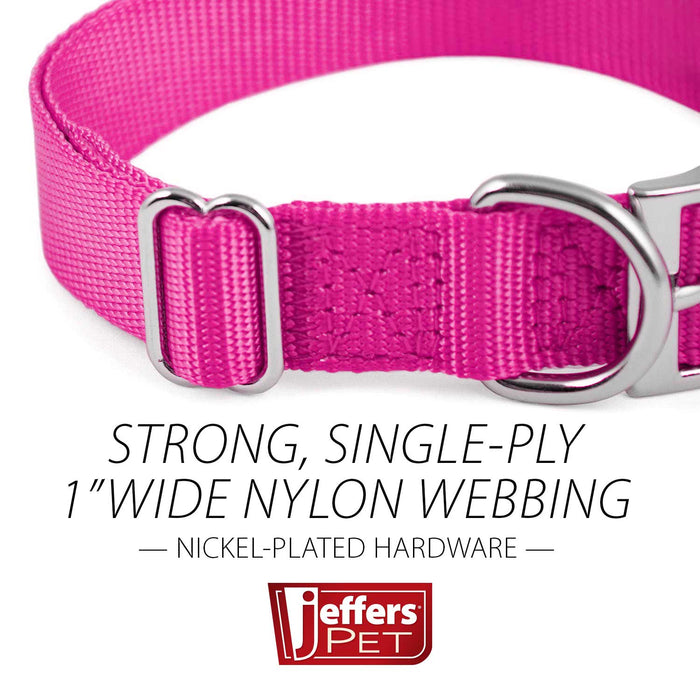 Jeffers Adjustable Nylon Dog Collar, 1"W x 14" - 24"L - SSGO - Hot Pink - 20