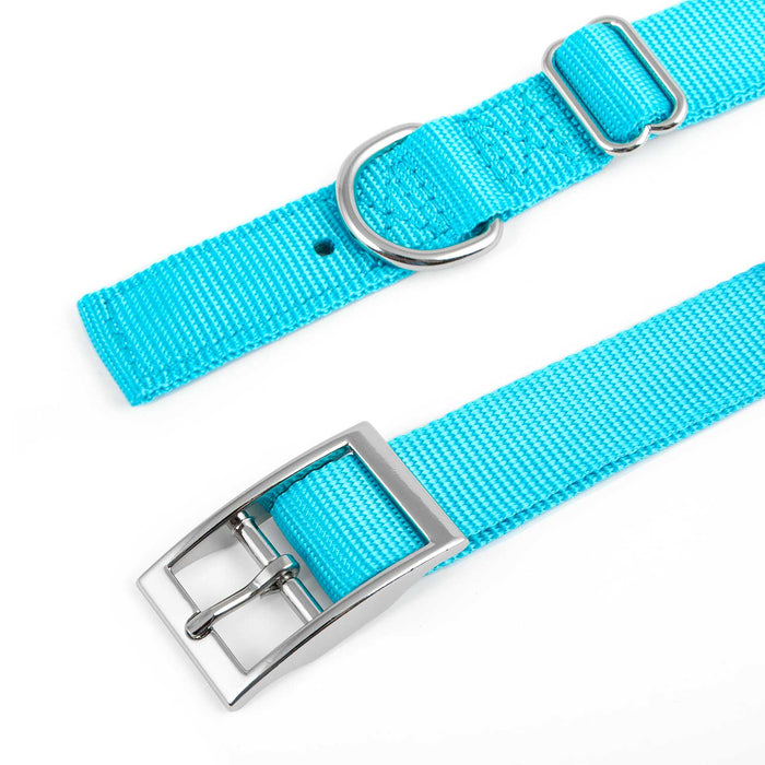 Jeffers Adjustable Nylon Dog Collar, 1"W x 14" - 24"L - SSGZ - Turquoise - 4