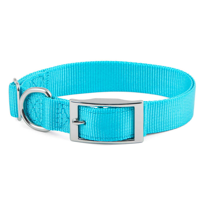 Jeffers Adjustable Nylon Dog Collar, 1"W x 14" - 24"L - SSGZ - Turquoise - 1