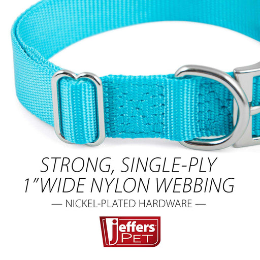 Jeffers Adjustable Nylon Dog Collar, 1"W x 14" - 24"L - SSGZ - Turquoise - 2