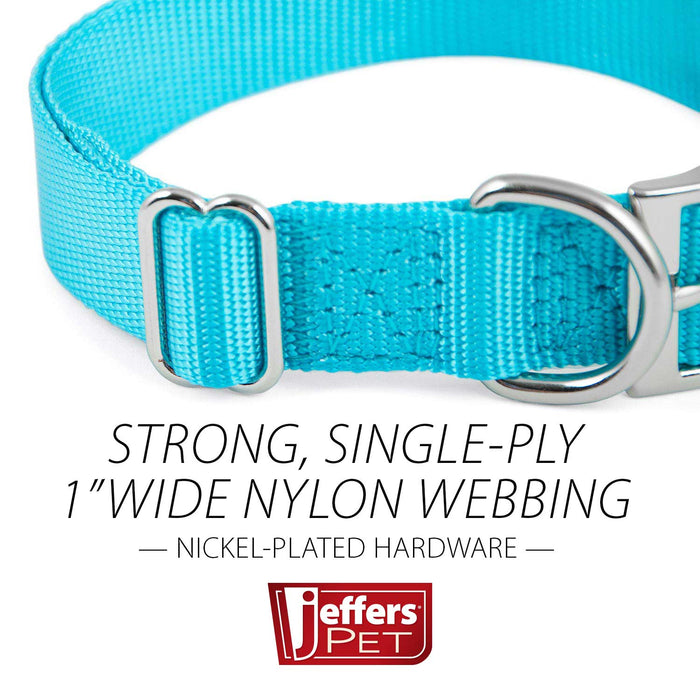 Jeffers Adjustable Nylon Dog Collar, 1"W x 14" - 24"L - SSGZ - Turquoise - 2
