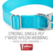 Jeffers Adjustable Nylon Dog Collar, 1"W x 14" - 24"L - SSGZ - Turquoise - 2