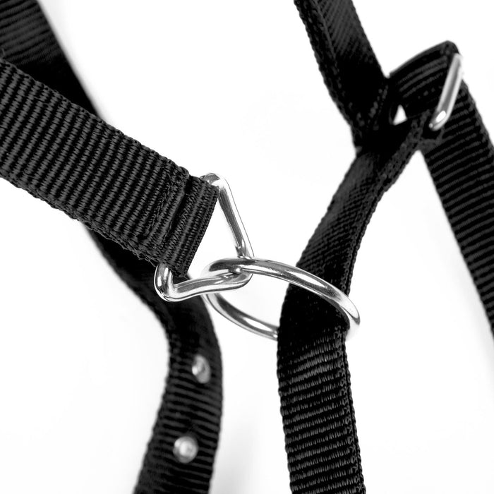 Jeffers Adjustable Nylon Full Size Horse Halter - GAGDL - Black - 4
