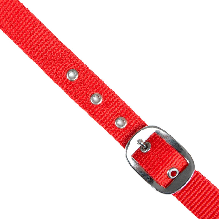 Jeffers Adjustable Nylon Full Size Horse Halter - GAGDM - Red - 9