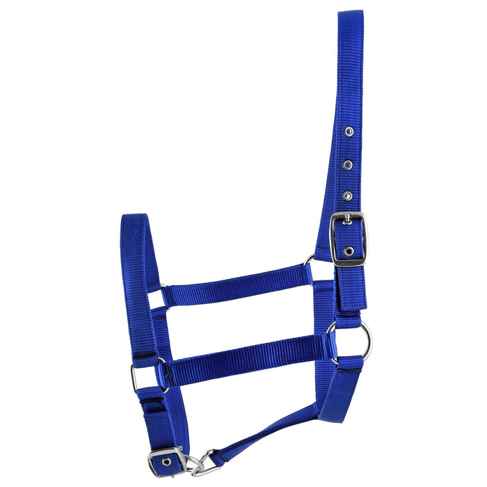Jeffers Adjustable Nylon Full Size Horse Halter - GAGDO - Royal Blue - 11