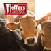 Jeffers Band Castration Tool for Livestock - I3C1 - 8