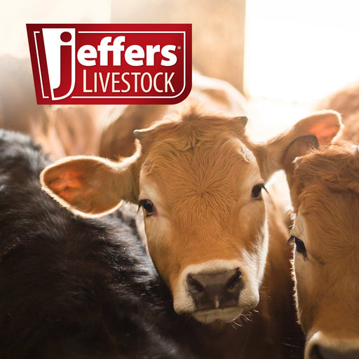 Jeffers Band Castration Tool for Livestock - I3C1 - 8