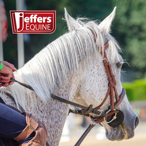 Jeffers Black Rubber Horse Bit Guards, Pair - IARP - 2 ct - 2