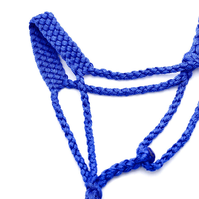 Jeffers Braided Mule Tape Halter with 10' Lead for Horses - JEF11C - Blue - Full - 9