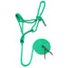 Jeffers Braided Mule Tape Halter with 10' Lead for Horses - JEF11H - Green - Full - 21