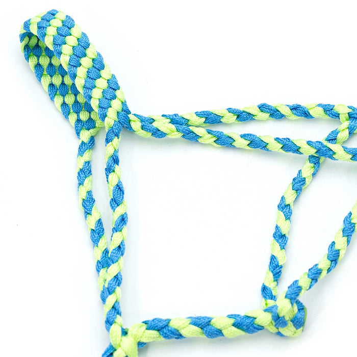 Jeffers Braided Mule Tape Halter with 10' Lead for Horses - JEF11Q - Turquoise & Lime Green - Full - 37