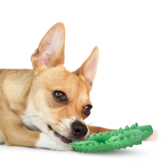 Jeffers Cactus Natural Rubber Dental Chew Toy for Dogs for Healthy Chewing Habits - I7QG - Green - Medium - 1 - 6