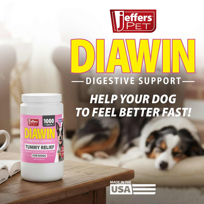 Jeffers Diawin Digestive Support for Dogs – Bismuth Tummy Relief for Diarrhea - JEFBB4 - 1000 Tablets - 8