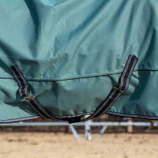 Jeffers Economy Plus 1200 Denier Turnout Blanket with Standard Neck, 240 Gram - GAGVZ - 66" - Sage Green - 11