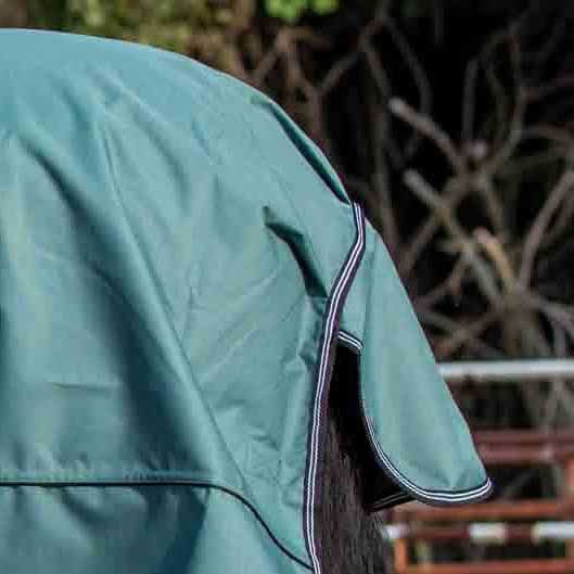 Jeffers Economy Plus 1200 Denier Turnout Blanket with Standard Neck, 240 Gram - GAGVZ - 66" - Sage Green - 12