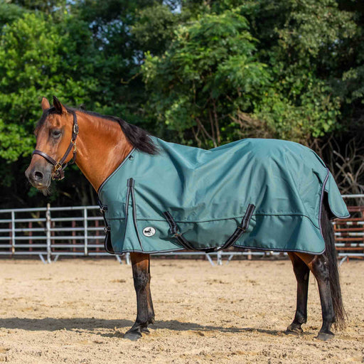 Jeffers Economy Plus Lightweight Standard Neck Horse Horse Turnout Sheet, 1200 Denier, 0 g Fill, Sage Green - GAGVM - 66 in - Sage Green - 1