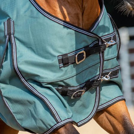 Jeffers Economy Plus Lightweight Standard Neck Horse Horse Turnout Sheet, 1200 Denier, 0 g Fill, Sage Green - GAGVM - 66 in - Sage Green - 2