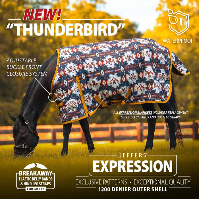 Jeffers Expression 1200 Denier Standard Neck Turnout Horse Blanket, 240 Gram - JEF2S1 - Thunderbird - 66" - 17