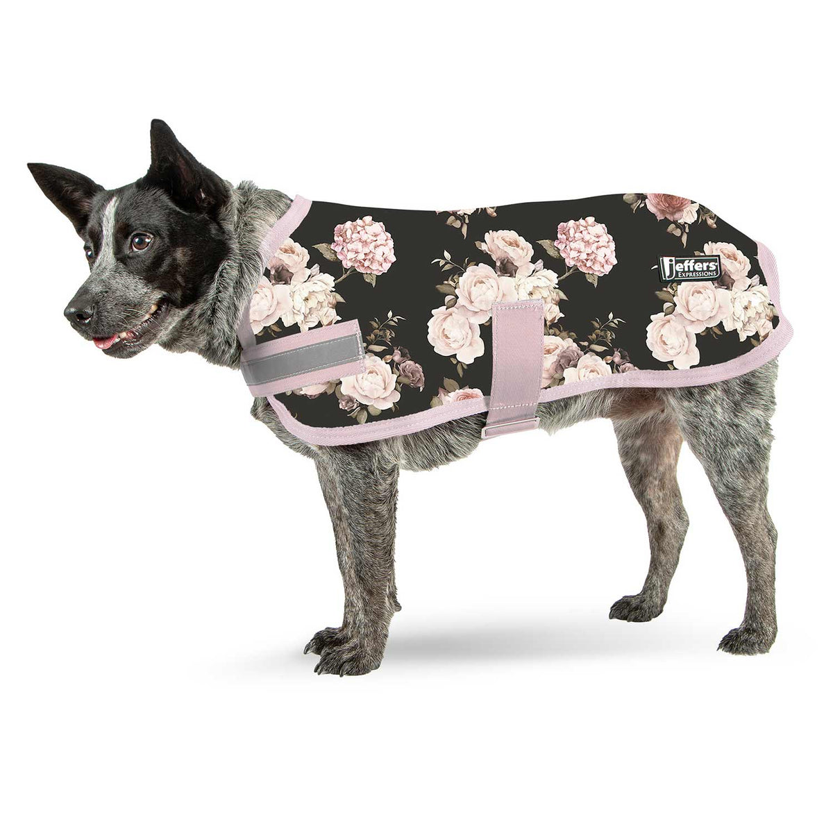 Jeffers Expression Dog Coat, Rose Garden — Lambert Vet Supplies