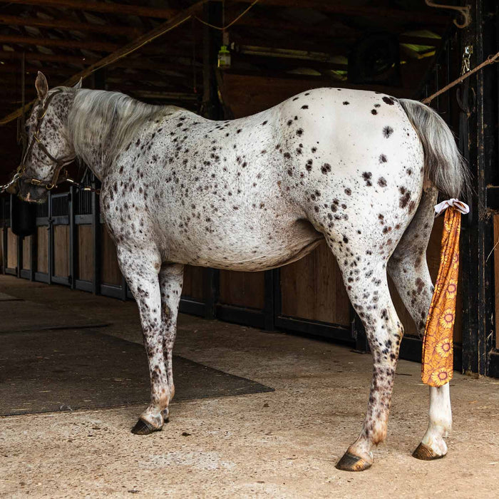 Jeffers Expression Lycra Horse Tail Bag, 24"L - JEF2YK - Bloomin' Toolin' - 4