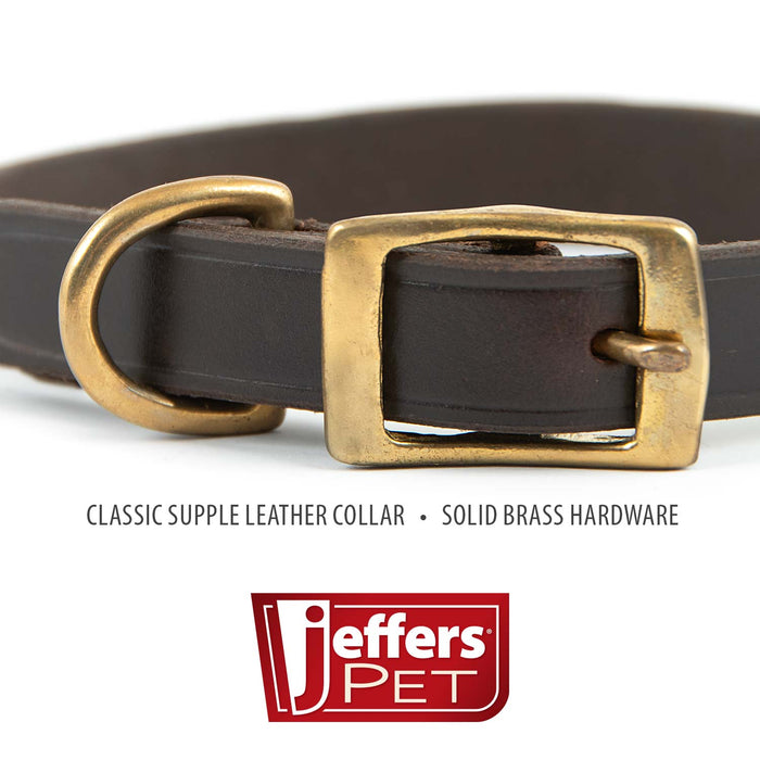 Jeffers Flat Latigo Leather Dog Collar with Brass Hardware - 8M02 - 9" - 5/8" W - 3